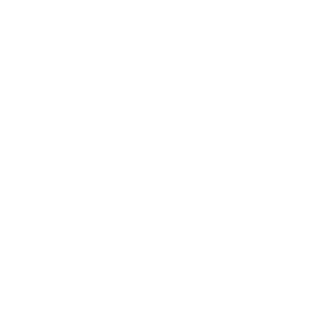 Saveurs & Vins Férin